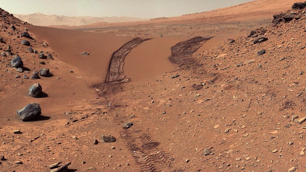 NASA scientists may have accidentally brought radiation-resistant bacteria to Mars